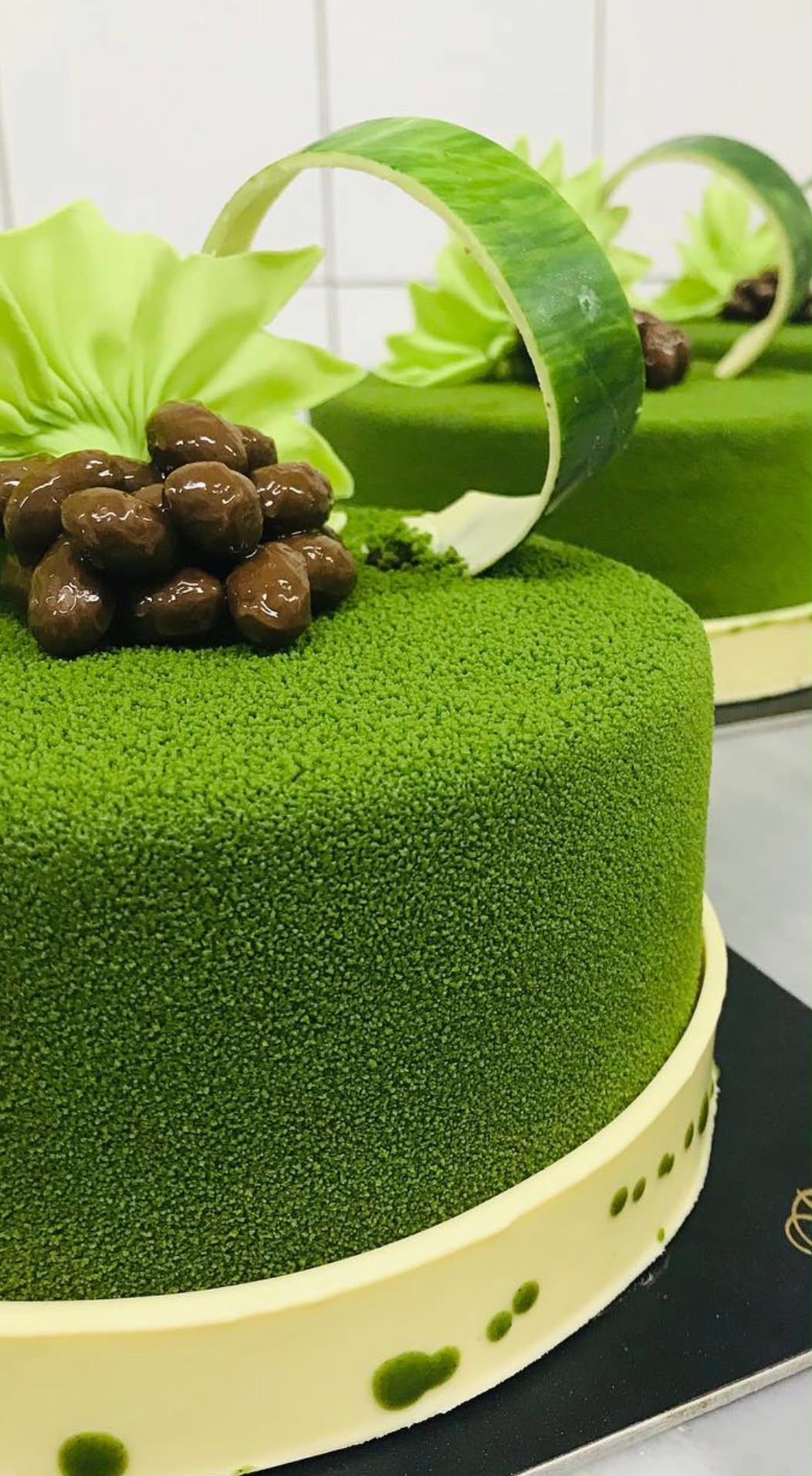 Matcha-Torte mit Schokolade bei Dr. Shot