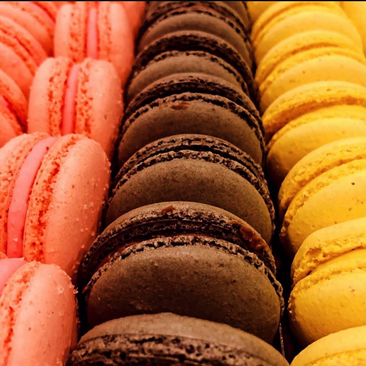 Bunte Macarons bei Dr. Shot