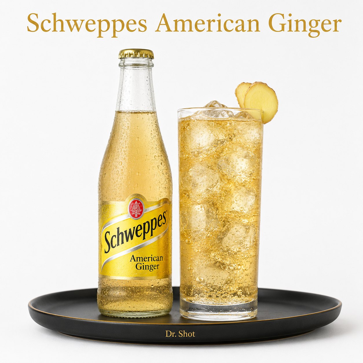 Schweppes American Ginger bei Dr. Shot